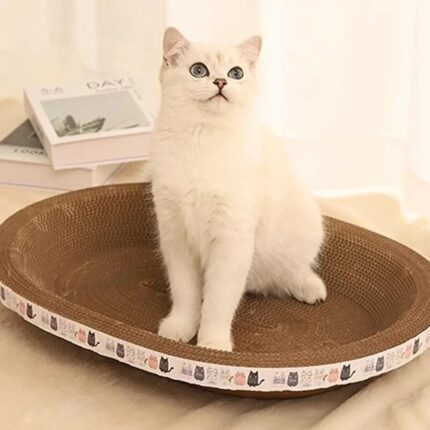 Cat Scratcher Bowl